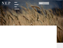 Tablet Screenshot of nep.com